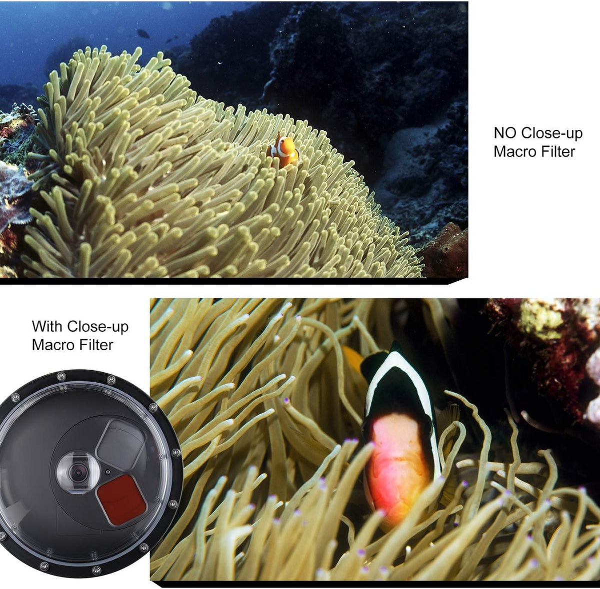 Dome Port Lens for GoPro Hero 5 6 7 Black Hero (2018), Dome Port with Waterproof Housing Case, Trigger, Floating Hand Grip, Built-in Switchable Red Filter and 10x Macro Filter
