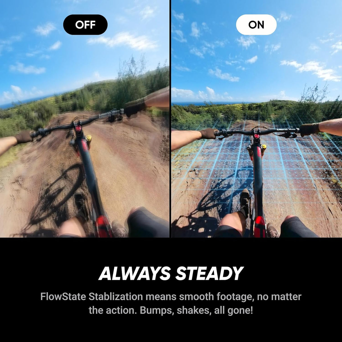 Insta360 X5 Invisible Dive Bundle - Waterproof 8K 360° Action Camera, Invisible Selfie Stick Effect, Leading Low Light, 3-Hour Battery, Clear Audio, Stabilization, AI Editing, Vivid Colors