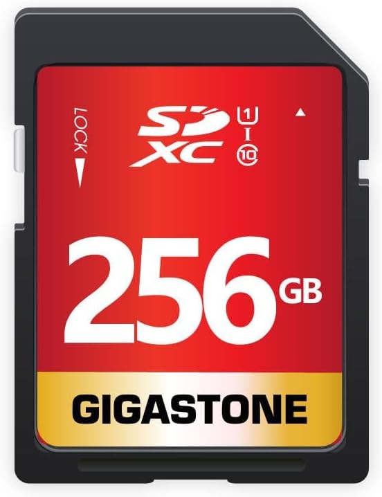 Gigastone 256GB SD Card UHS-I U1 Class 10 SDXC Memory Card High Speed Full HD Video Canon Kodak Olympus Digital Camera, with 1 mini case