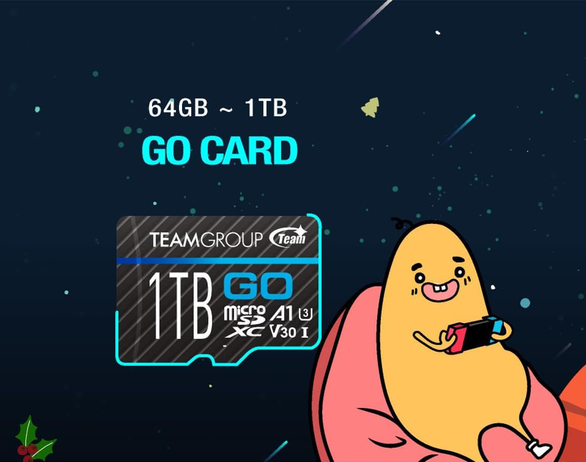 TEAMGROUP GO Card 256GB x 2 Pack Micro SDXC UHS-I U3 V30 4K for GoPro & Action Cameras High Speed Flash Memory Card with Adapter for Outdoor, Sports, 4K Shooting TGUSDX256GU364