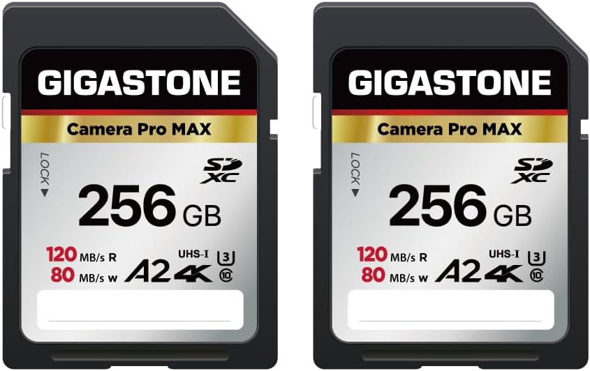 [5-Yrs Free Data Recovery] GIGASTONE 256GB 2-Pack SD Card, 4K Camera Pro MAX, A2 4K SDXC Memory Card High Speed 4K UHD Video Compatible with Canon Kodak Digital Camera, with 2 Mini case