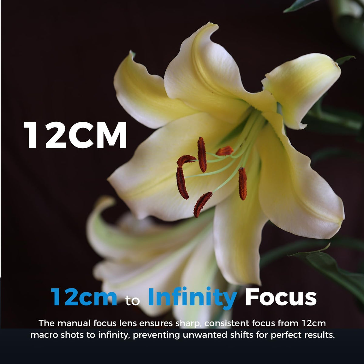 ATLI X10 4K Time Lapse Camera 30 FPS Video Wi-Fi App Control Ultra-Low Power Consumption 1/1.8” 8MP Sensor for Scenery Stars Plants Scientific Research Social Media Pre-Installed 128GB Card