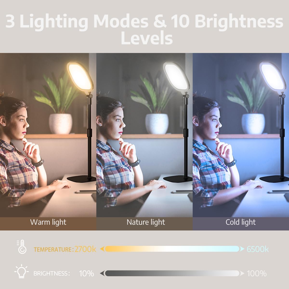 2Pcs Desktop Video Conference Lighting for Zoom Meeting, Computer, Laptop, Work from Home with Nature Soft Light, Adjustable Brightness & Color Temp and Flexible Stand & Versatile Phone Holder