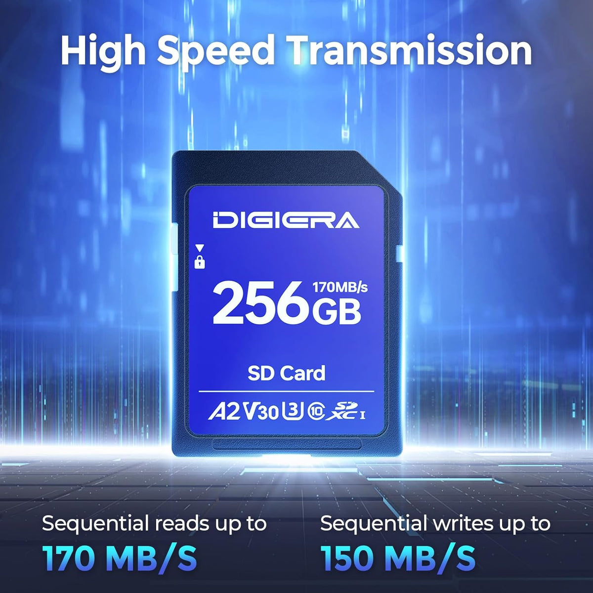 256GB LS100 SDXC UHS-I Memory Card - up to 170MB/s, C10, U3, V30, 4K UHD, SD Card for Computers, Digital Cameras, Home Theatre Devices, Car Navigation Systems (1 Pack)
