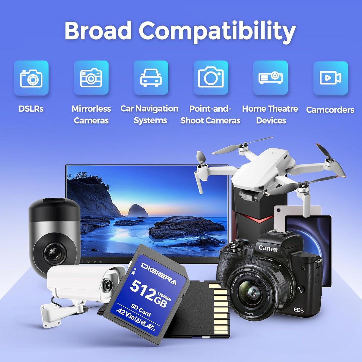 512GB LS100 SDXC UHS-I Memory Card - up to 170MB/s, C10, U3, V30, 4K UHD, SD Card for Computers, Digital Cameras, Home Theatre Devices, Car Navigation Systems (1 Pack)
