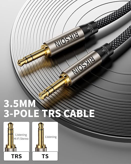 RIKSOIN 3.5mm Nylon Braided Aux Cable, Silver-Plated Wire Core Male to Male Cord for Headphones Car Home Stereos Speaker Compatible with iPhone iPad iPod Echo More-10FT