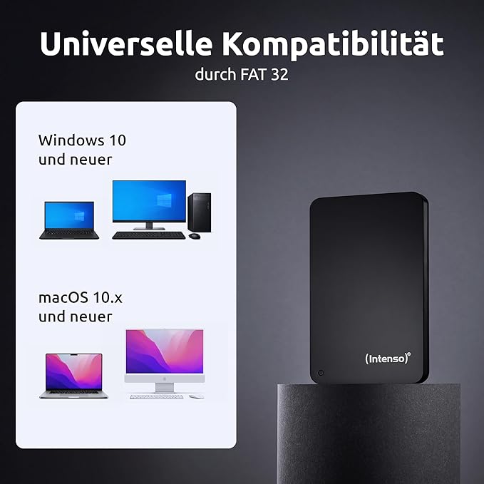 Intenso Memory Case 2TB Schwarz