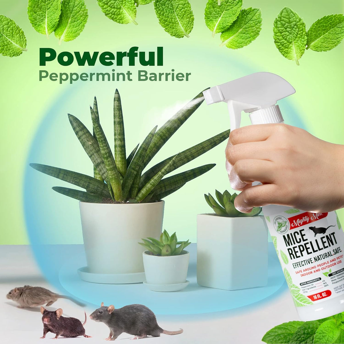 Mighty Mint Peppermint Oil Mouse Repellent Spray – Natural Indoor & Outdoor Control for Mice and Rodents – Plant-Based, Extra-Strong Formula - 16 oz (Pack of 2)