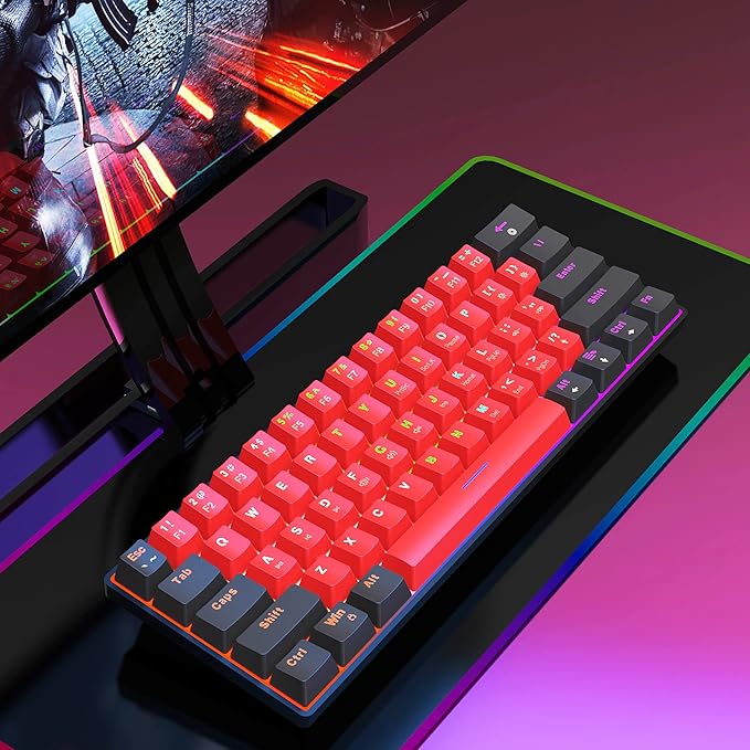 Snpurdiri 60% Wired Mechanical Keyboard Mini Gaming Keyboard with 61 Keys for PC Windows XP Win 7 Win 10 (Black-Red Red Switches)