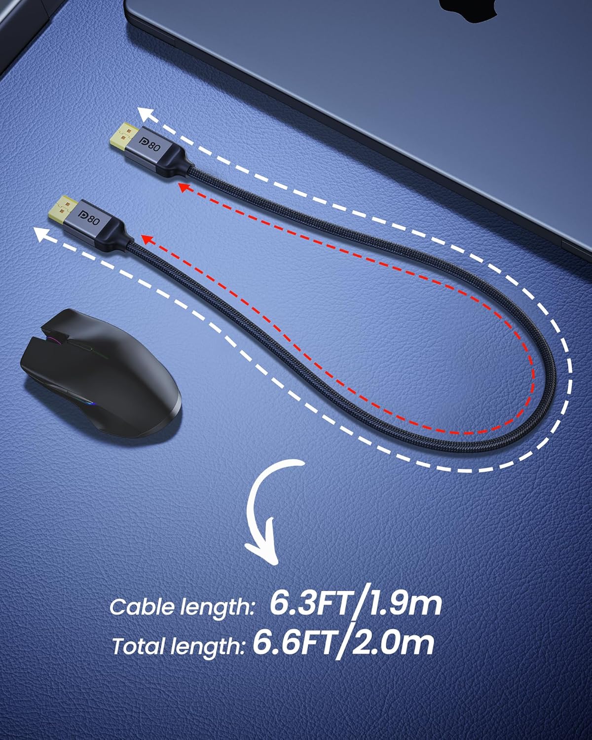 80Gbps 2.1 6.6FT/2M [8K@240Hz, 4K@540Hz 360Hz 240Hz] 2.1 16K, DP80 1.4, 5090 9070XT Silkland DisplayPort Cable [VESA