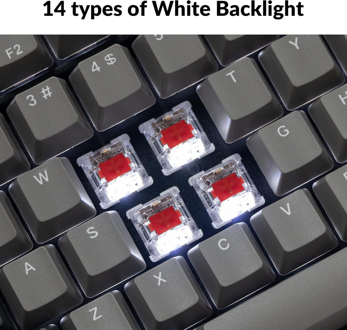 Keychron C2 Pro Wired Custom Mechanical Keyboard Full Size Layout QMK/VIA Programmable Macro White Backlit with Keychron K Pro Red Switch OEM Profile Double-Shot PBT Keycaps for Mac Windows Linux