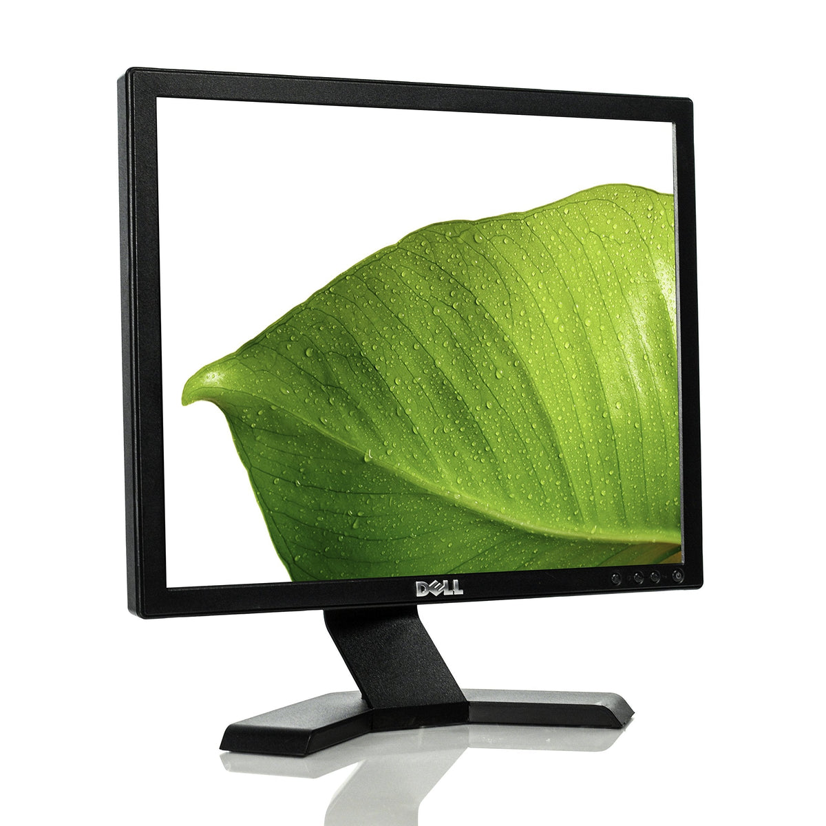 Dell E170S 17-inch flat panel monitor